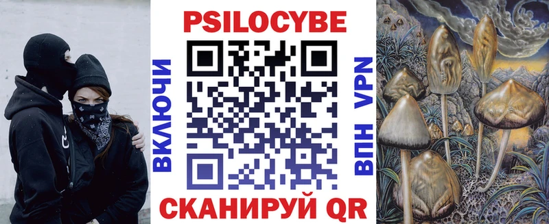 Псилоцибиновые грибы Cubensis  Алексин 