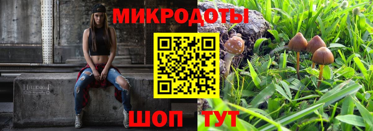 Псилоцибиновые грибы MAGIC MUSHROOMS  Вход с VPN  Алексин  Псилоцибиновые грибы Psilocybine cubensis 