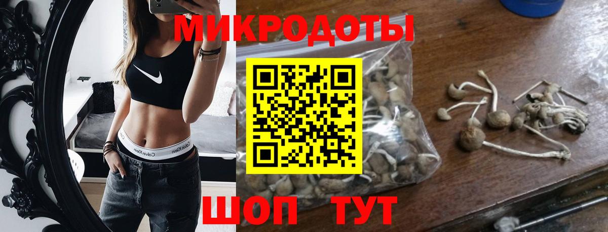 Галлюциногенные грибы Psilocybine cubensis Алексин